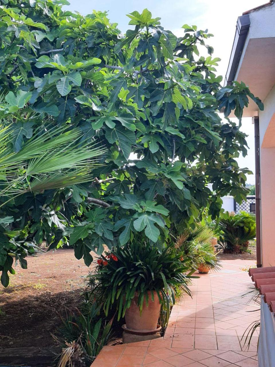 Il Giardino Incantato Villa Porto Cesareo Exterior foto