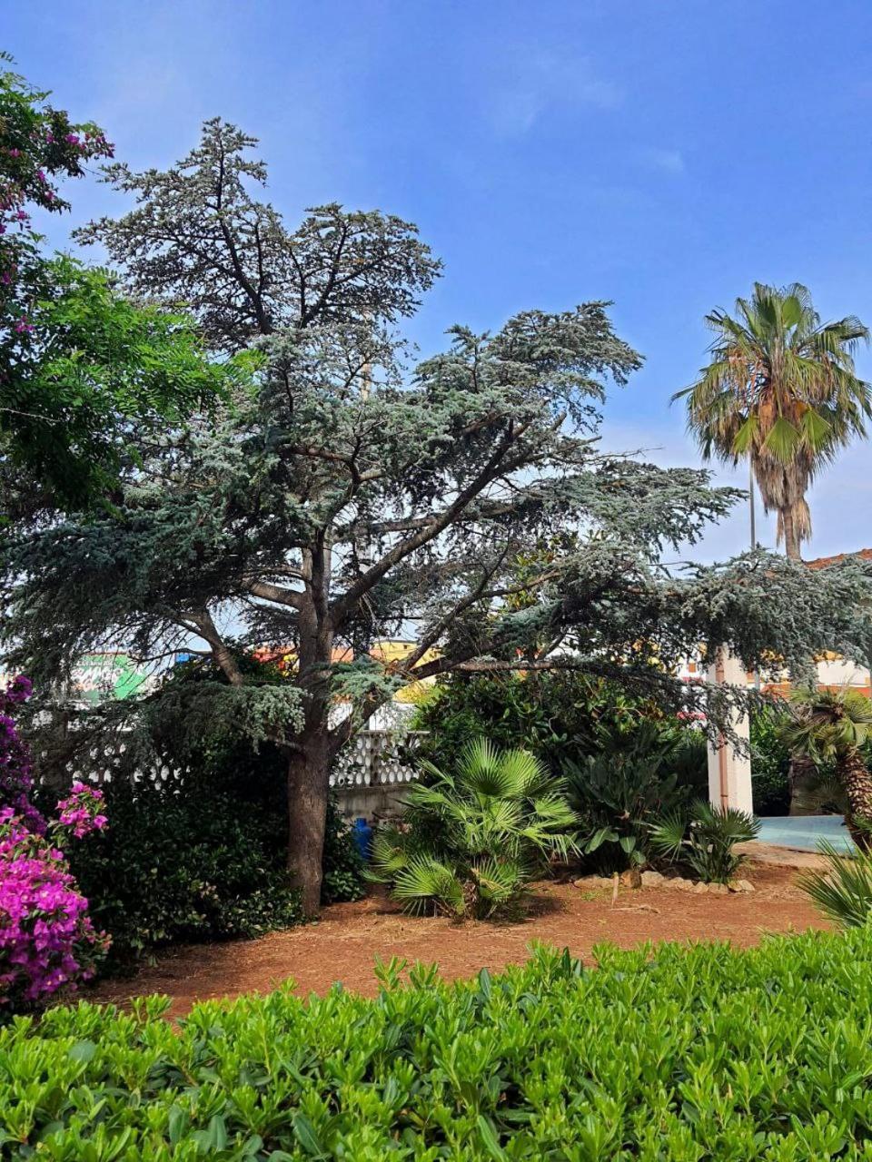 Il Giardino Incantato Villa Porto Cesareo Exterior foto