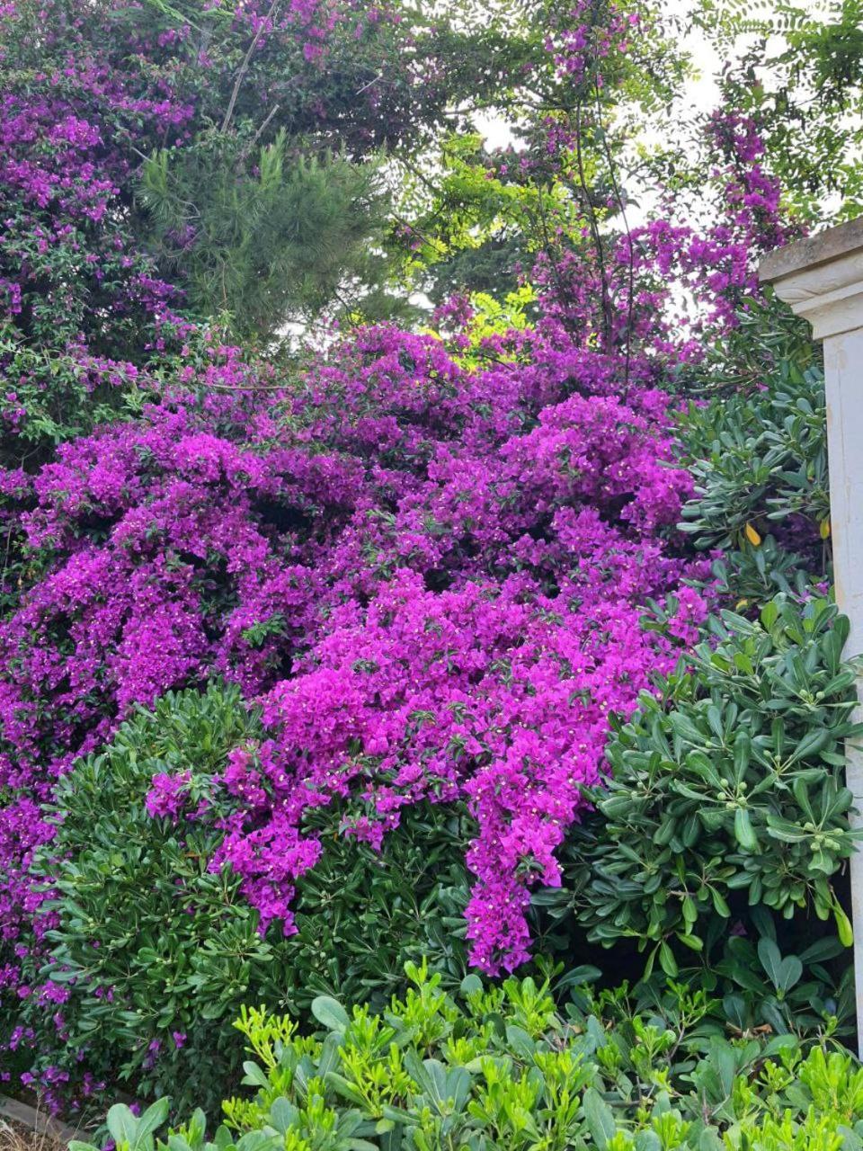 Il Giardino Incantato Villa Porto Cesareo Exterior foto