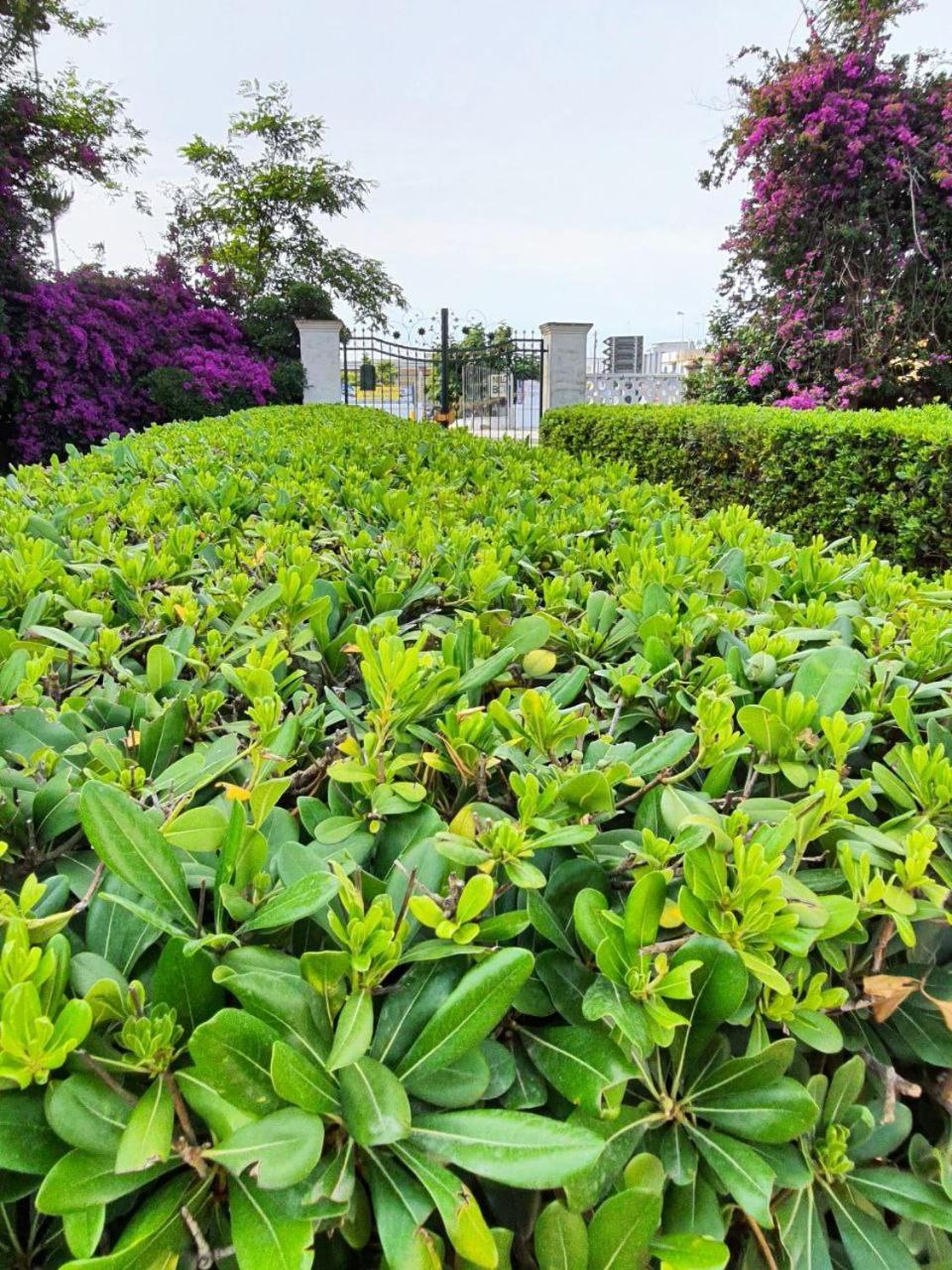 Il Giardino Incantato Villa Porto Cesareo Exterior foto